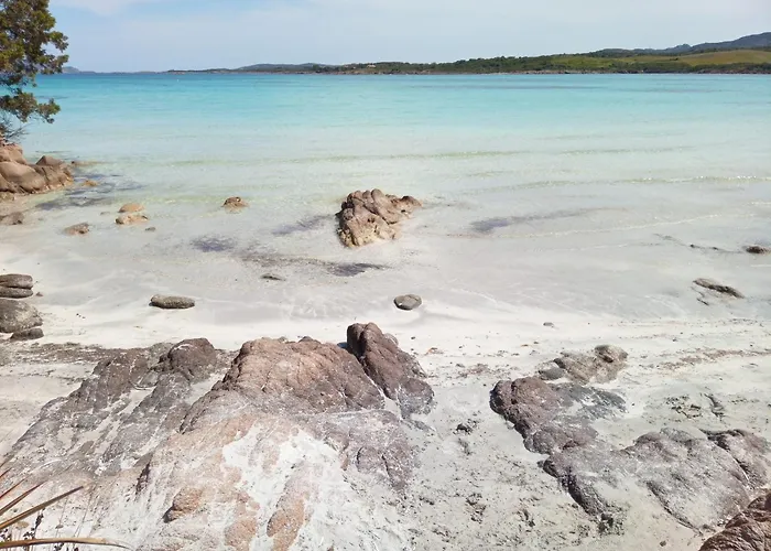 Ampio Trilocale Sul Golfo Di 度假居 *